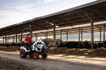 Foto produktu CT1025