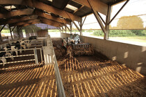 Foto produktu TL30.60 (AGRI)